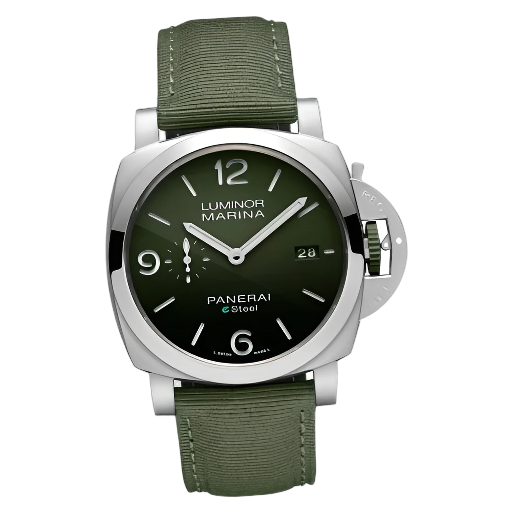 PAM01356