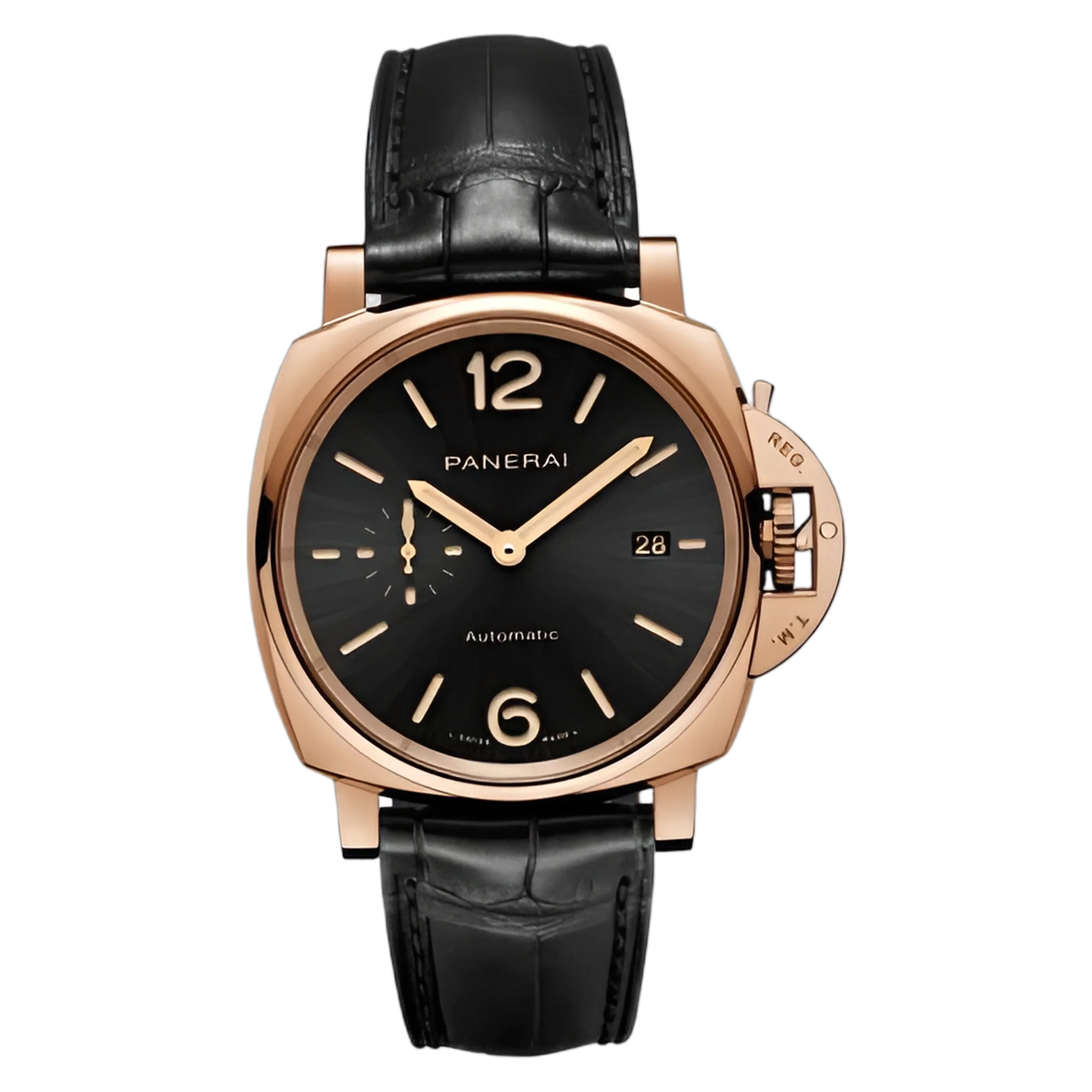 PAM01041