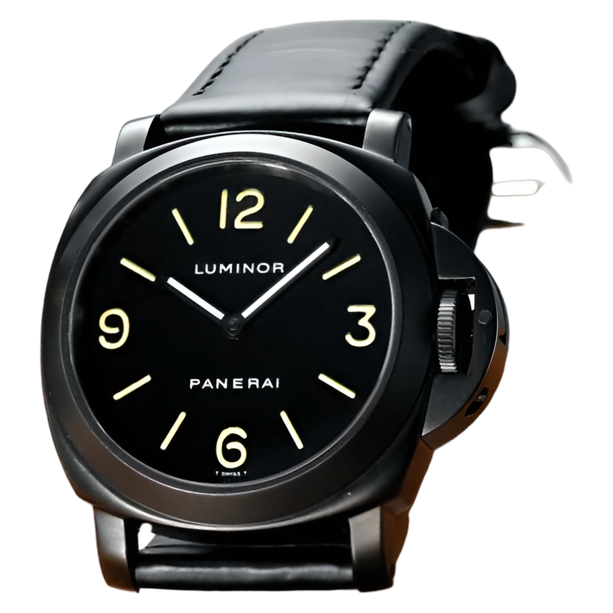 PAM00009