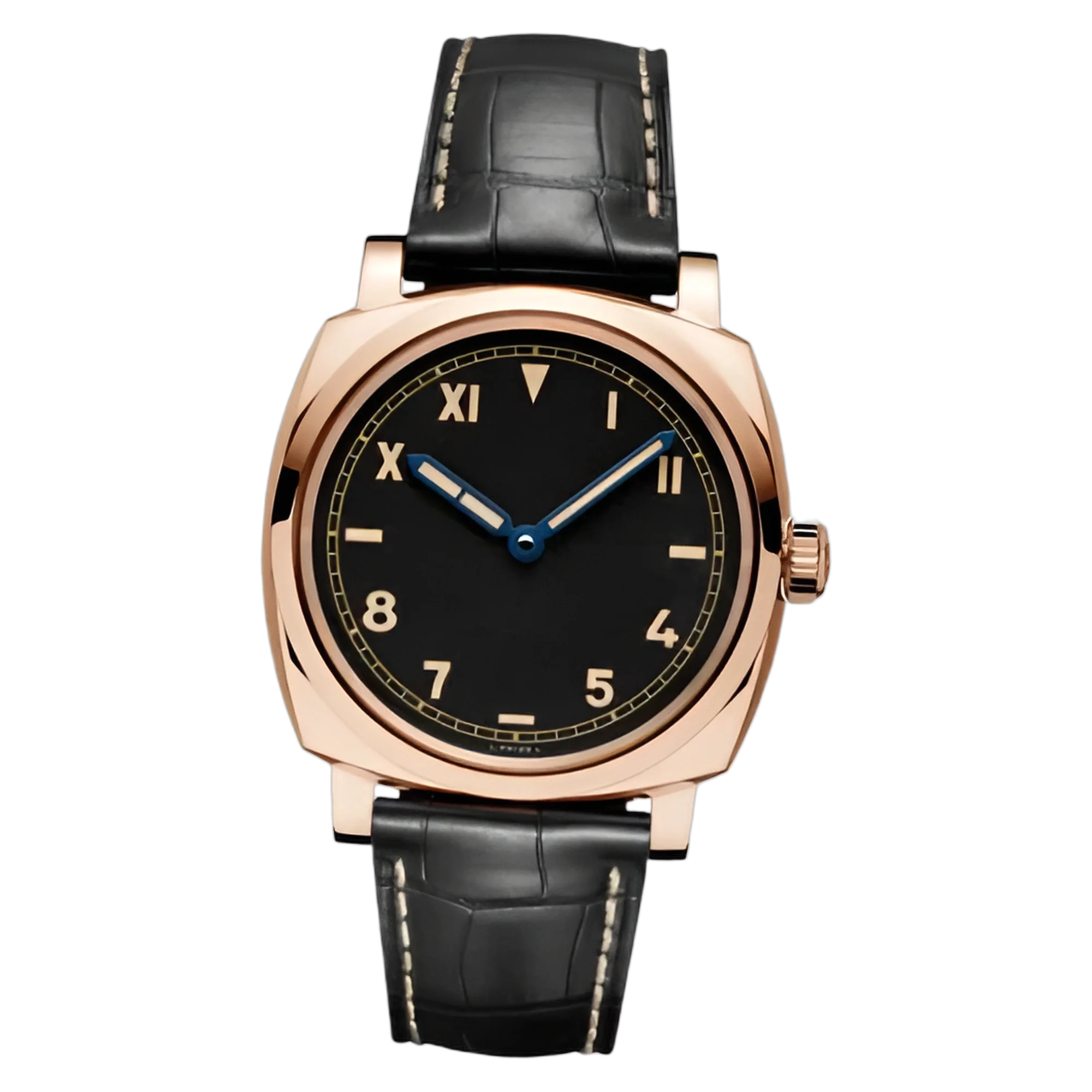 PAM00740